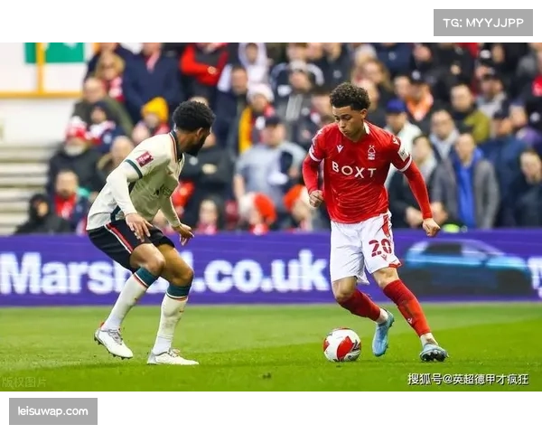 德甲财务公平法案执行情况,沙特资本入主欧洲足坛的隐忧