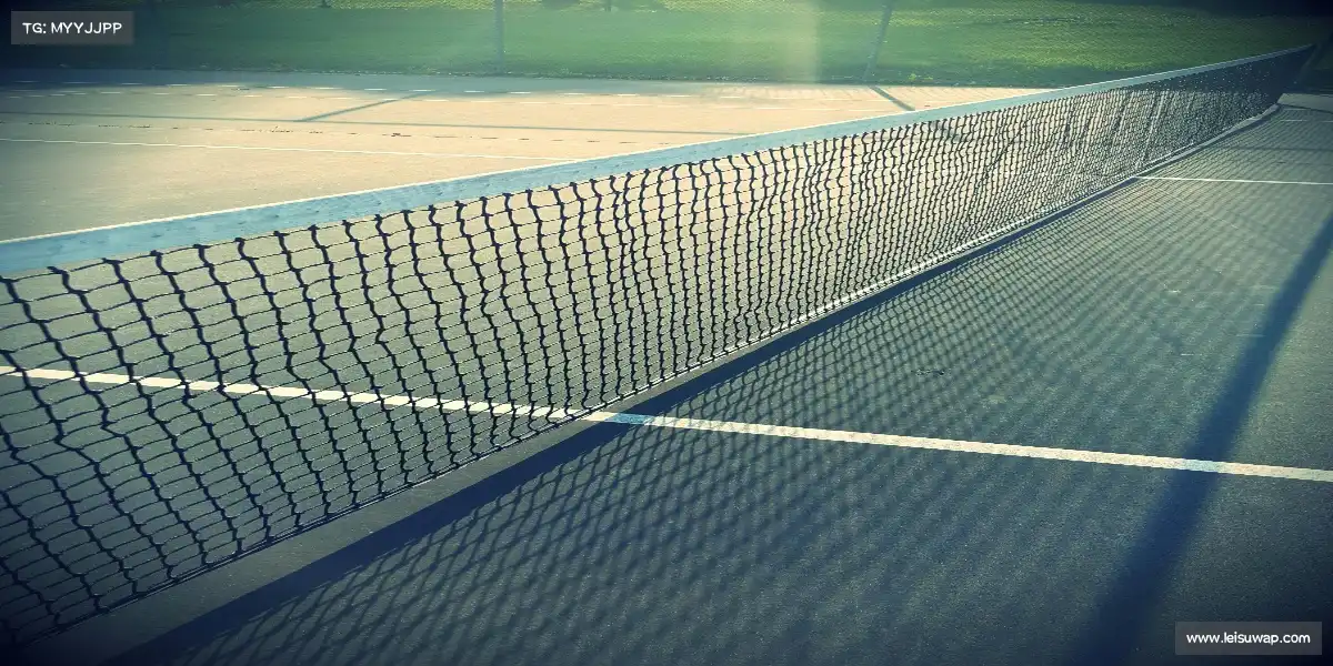 雷速官网——⚽🌠 凌空抽射,彗星袭月!